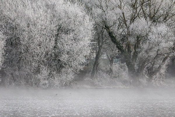 L'étang Ste Suzanne à St-Coulomb un matin d'hiver