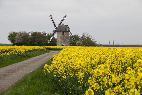 Moulin à vent de Frouville Pensier (28)