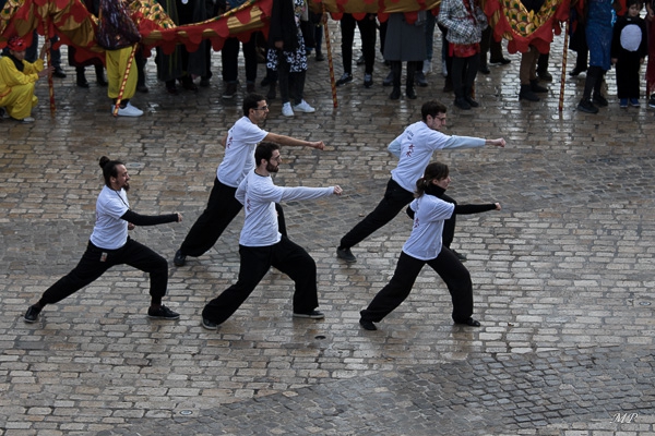 Démonstration de Kung-Fu