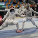 Coupe du monde de sabre dames 2017 à Orleans