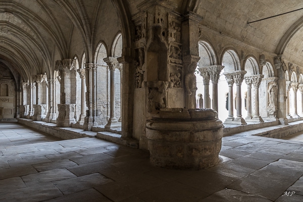 Le cloître Saint-Trophime à Arles