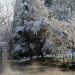 Le Loiret sous la neige