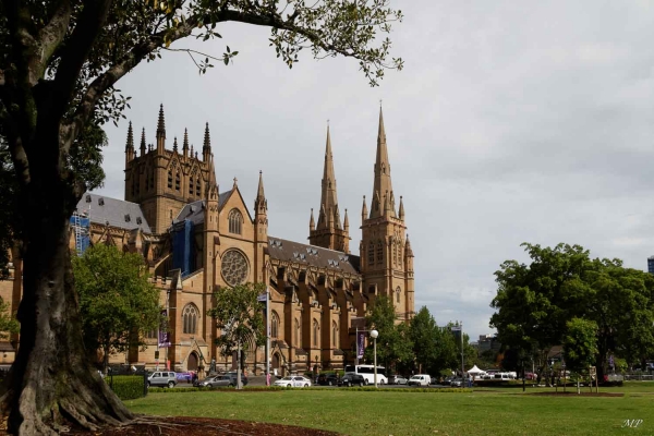 Sydney - Cathedrale Ste Marie