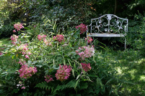 Le jardin de Chantal à Jouy-le-Pothier (45)